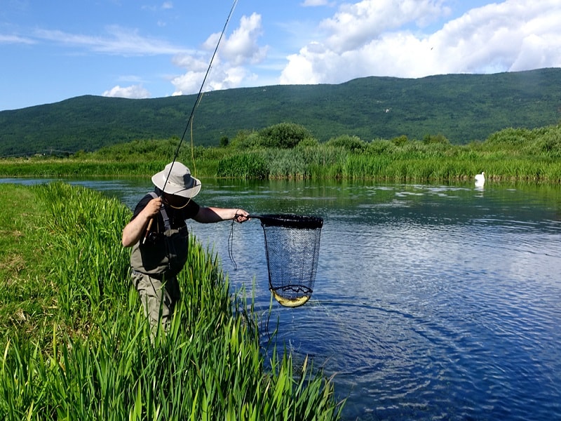 Sports fishing & Fishing trips